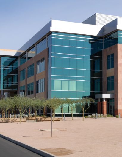 Commercial Pest Control