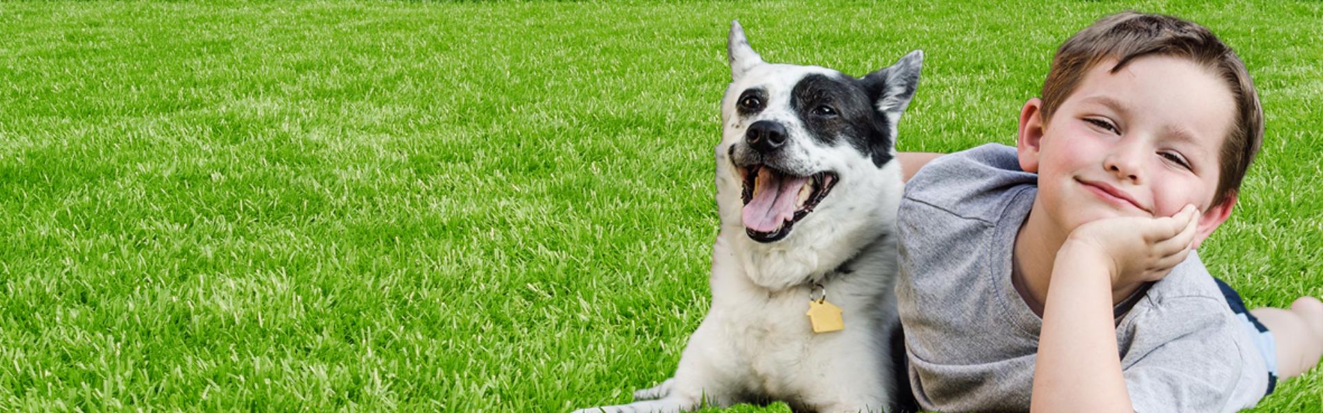 Vegas Family & Pet Friendly Pest Control